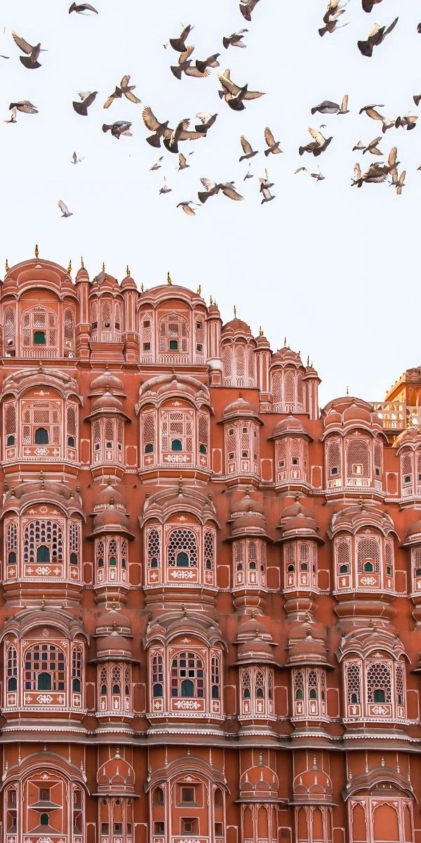 A flock of birds flying above an ornate pink multi-tiered palace facade with rows of small arched windows.